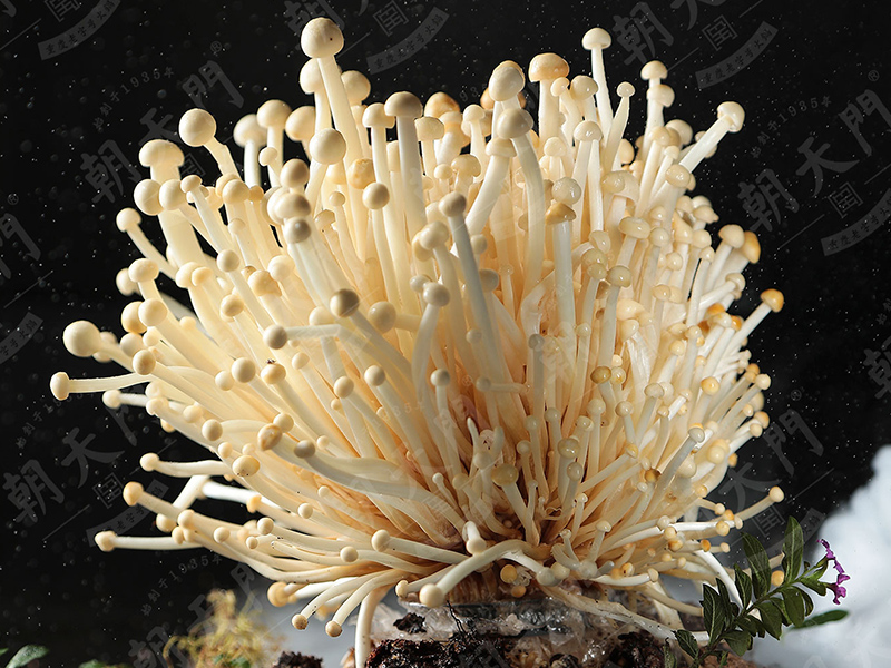 火鍋加盟店常見宣傳技巧有哪些？