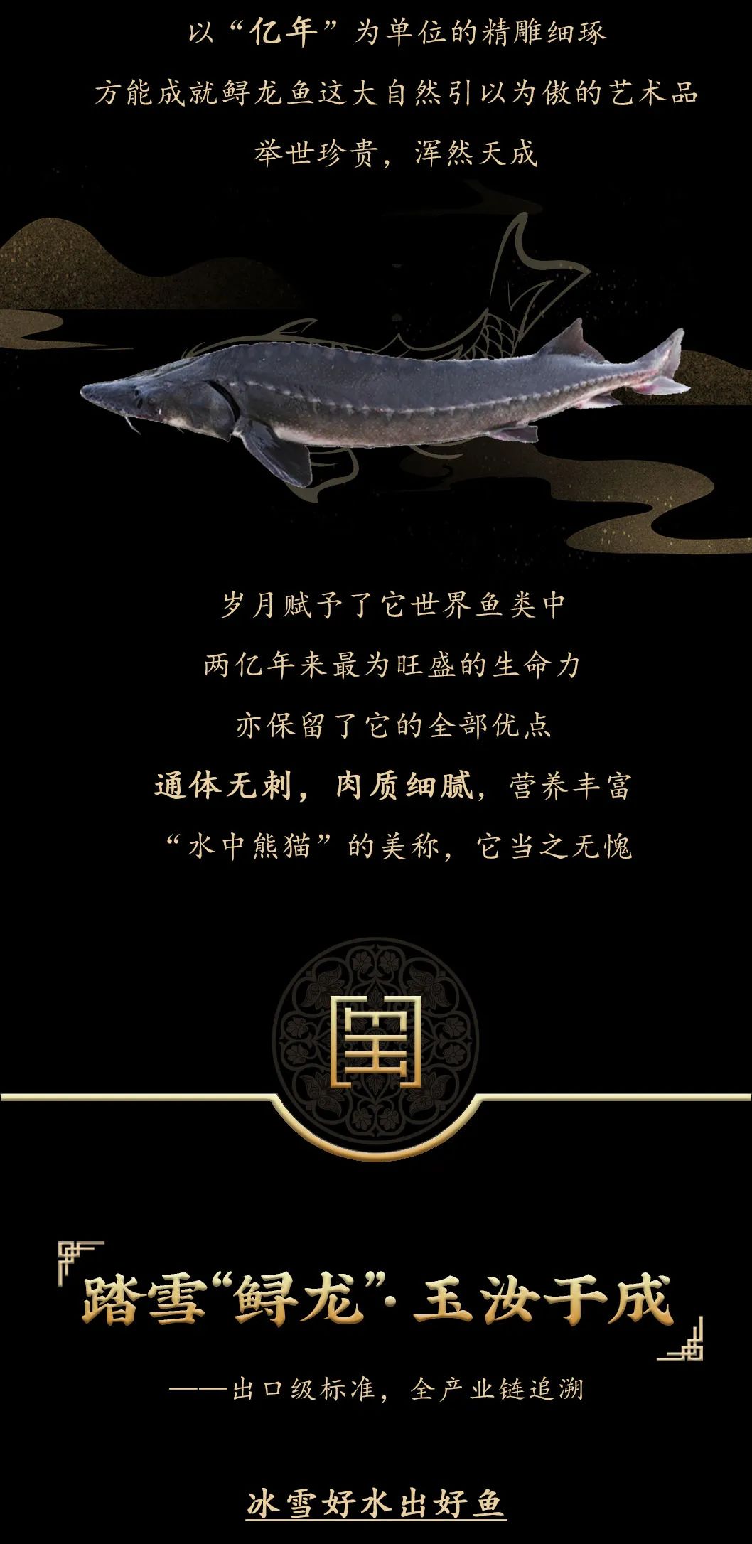 九州鱘龍魚片上新 | 自然臻藏，獻給吃魚有講究的人