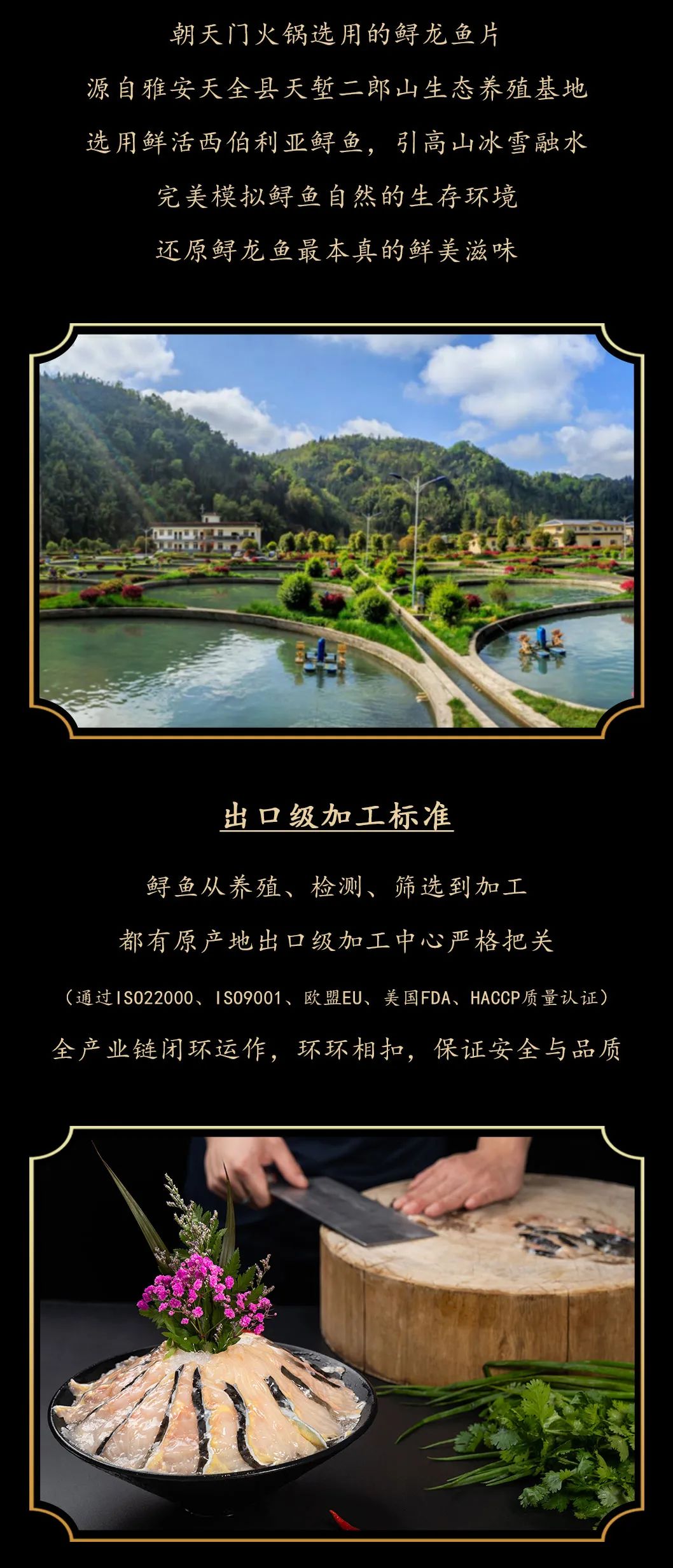 九州鱘龍魚片上新 | 自然臻藏，獻給吃魚有講究的人